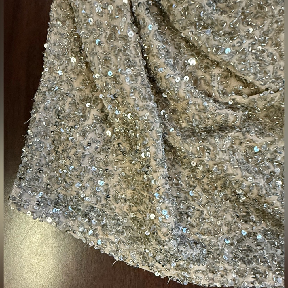 Haute Hippie Silver Sequin Embellished Top - Picture 7 of 8